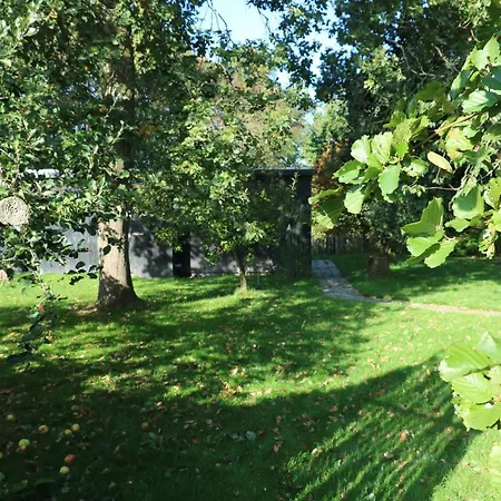 Lodge Cabin Vuur Zuidermeer