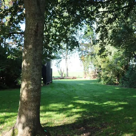 Lodge Cabin Vuur *