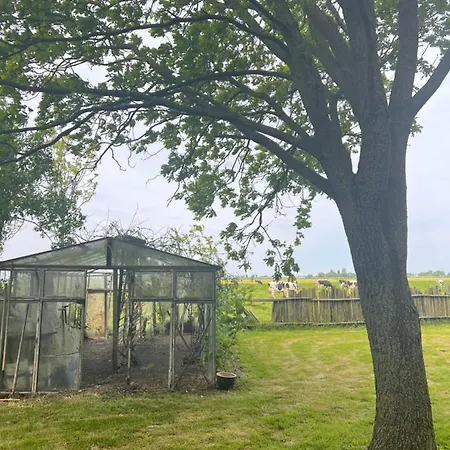 Cabin Vuur *