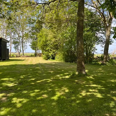 Cabin Vuur