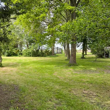 Cabin Vuur *